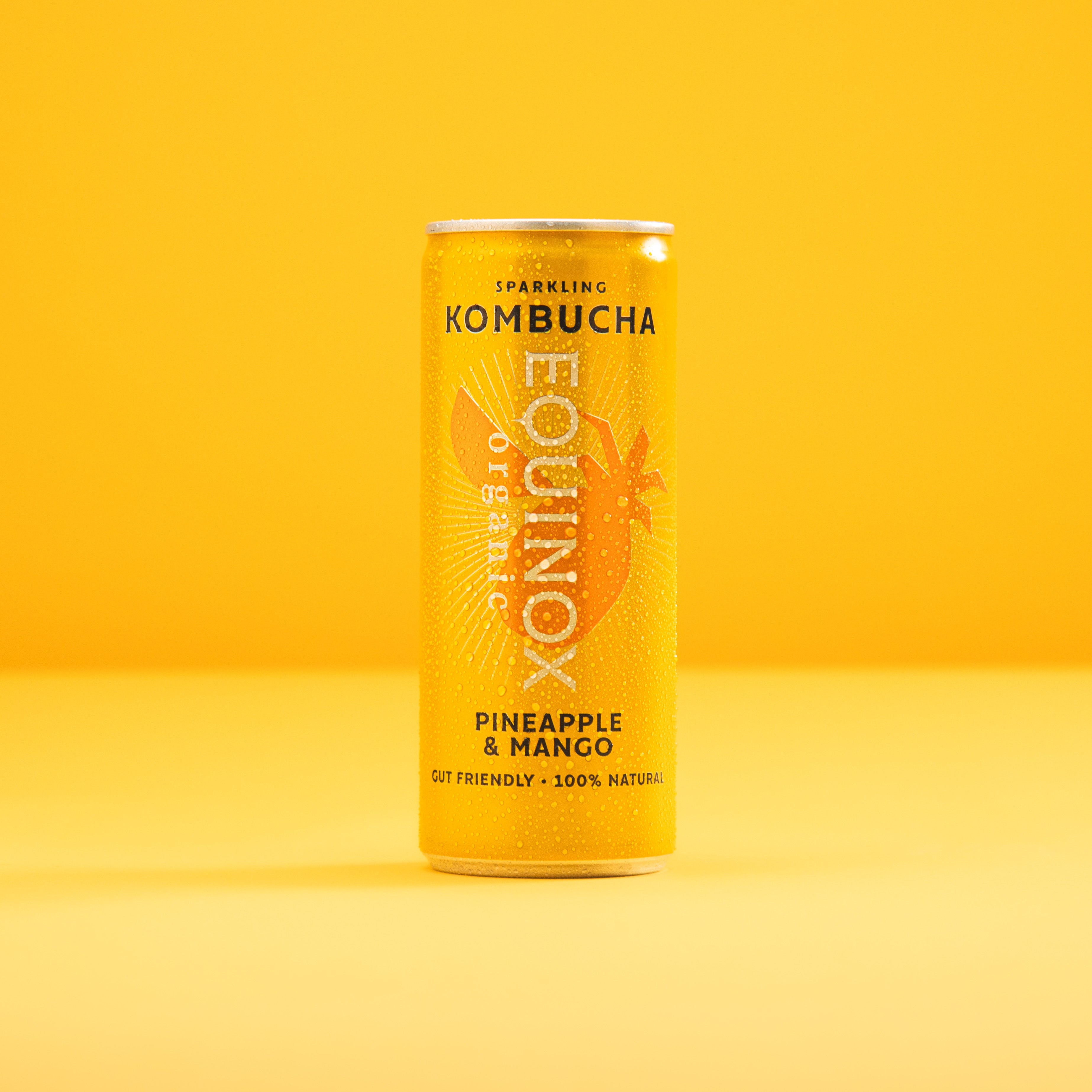 Pineapple & Mango Kombucha Cans | Organic & Tropical