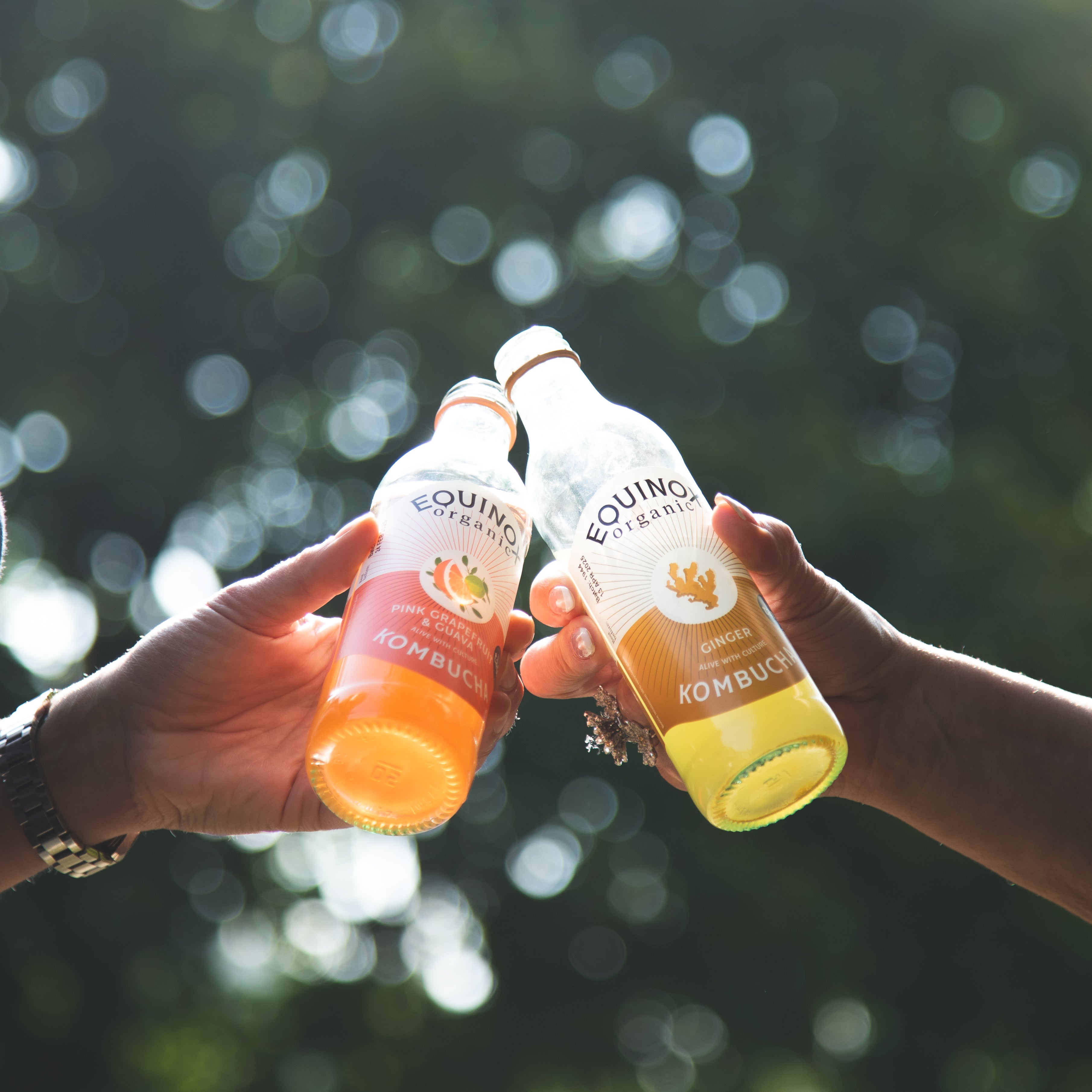 What is Kombucha?