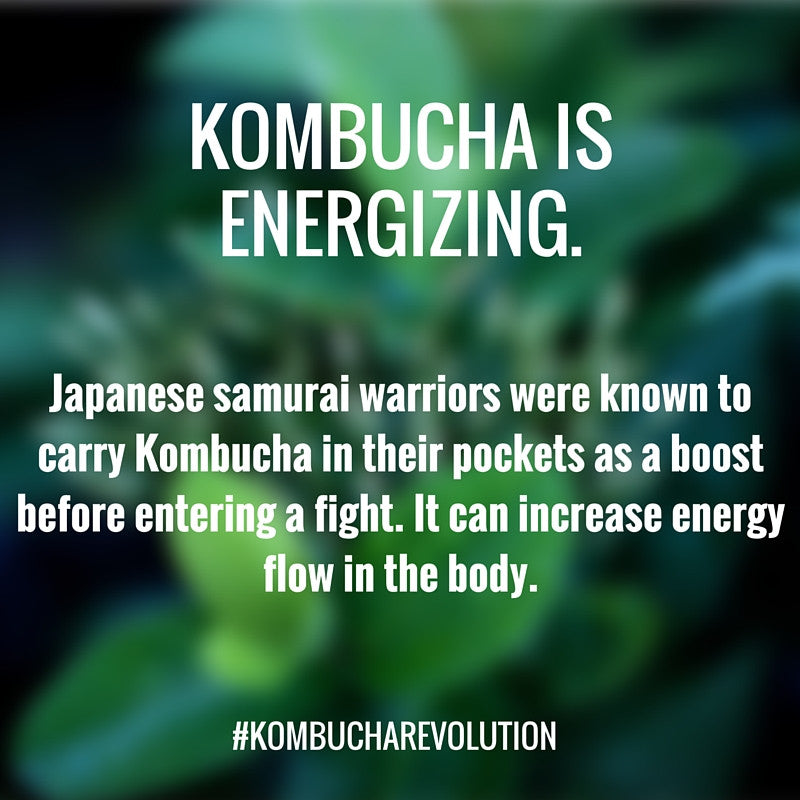 Confused About Kombucha? Read Our Handy FAQ On The Tea taking The World By Storm!