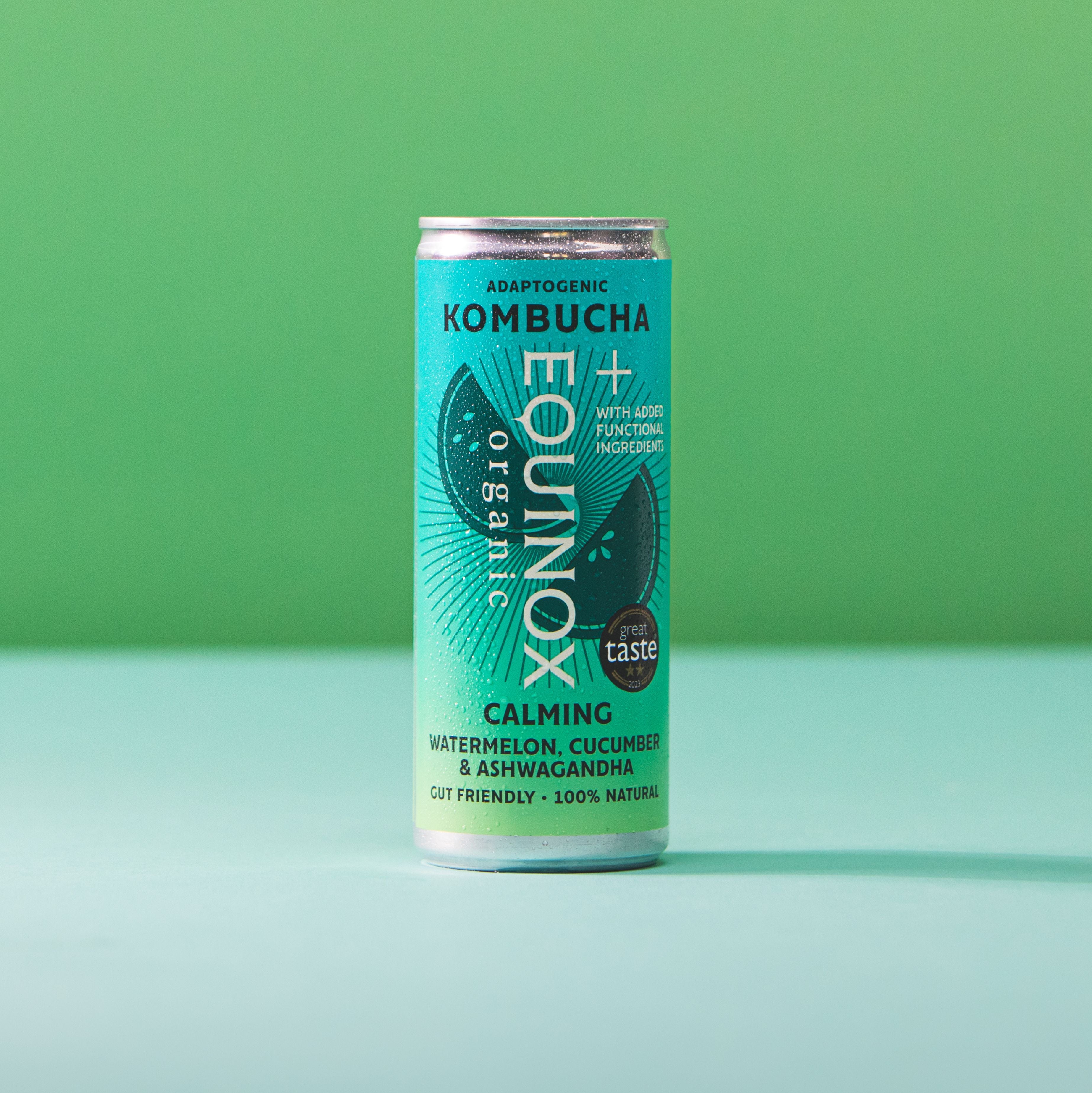 Equinox+ Watermelon & Cucumber Cans